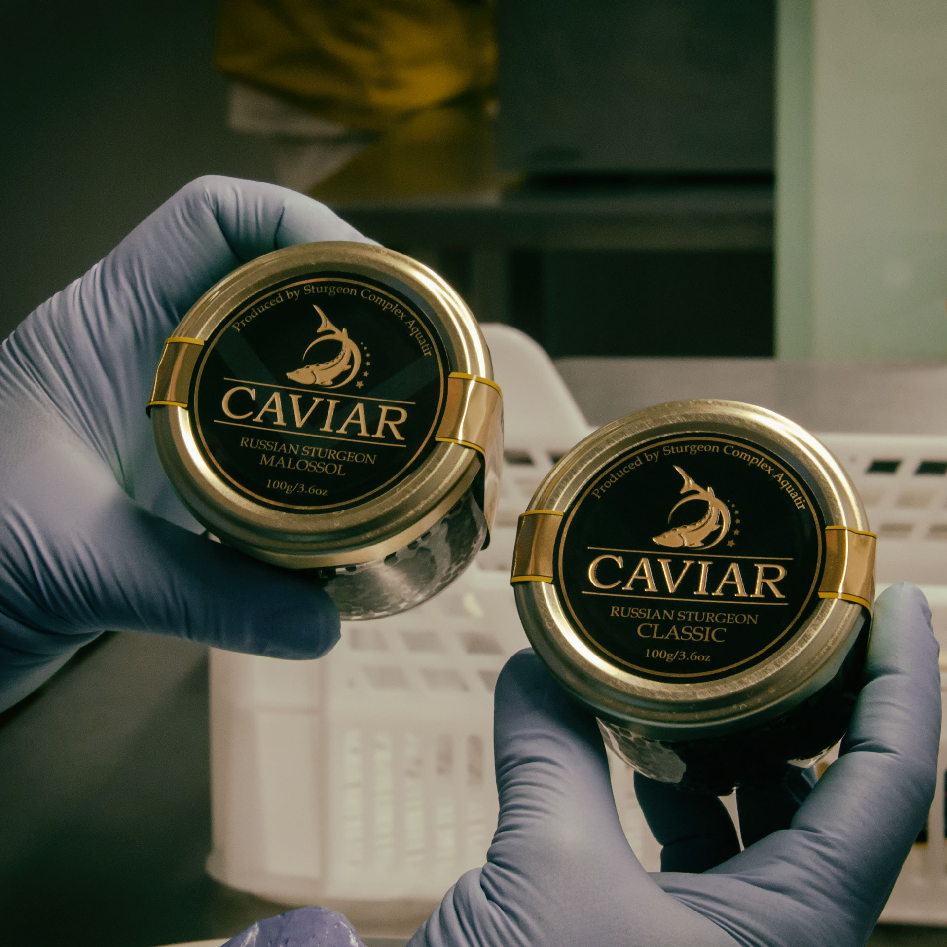 Premium Caviar