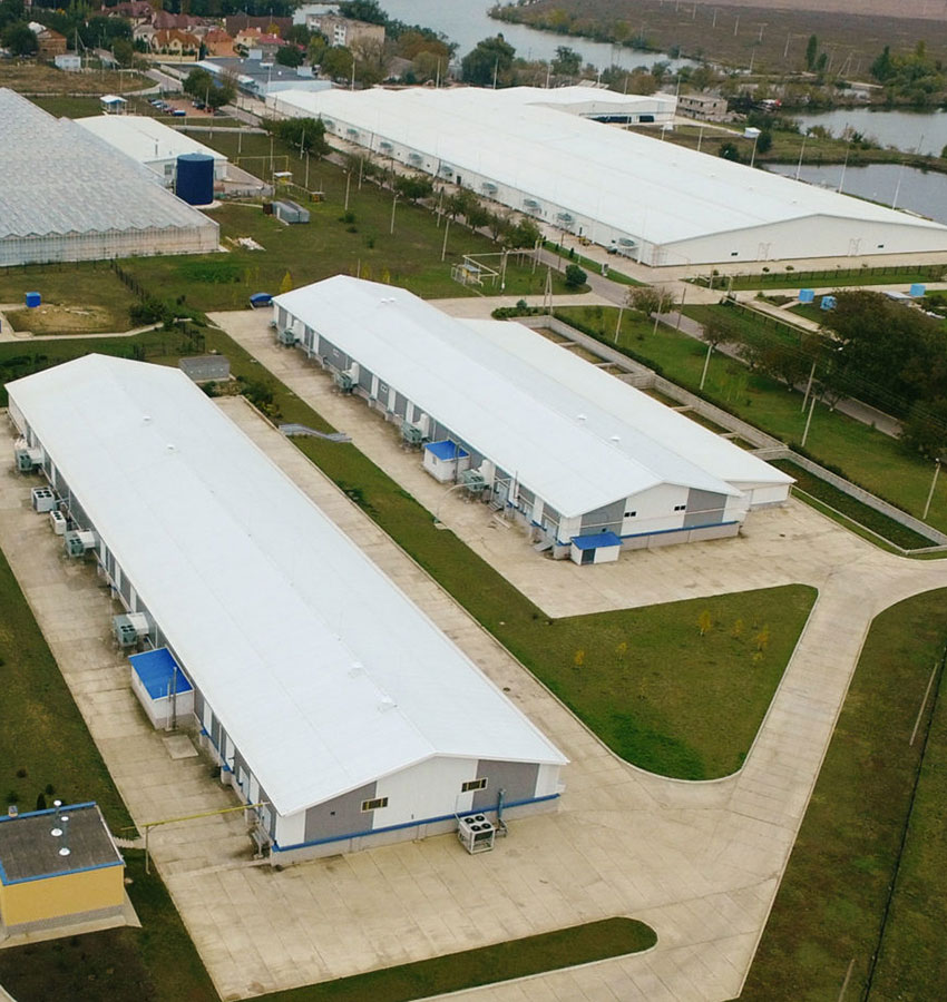 Caviar - nature & ecology